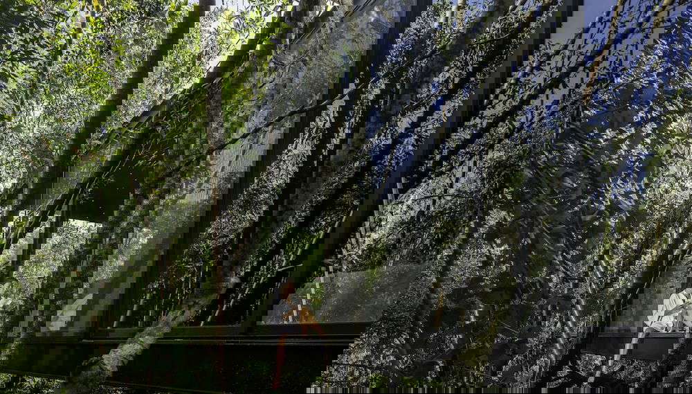 Imagem principal