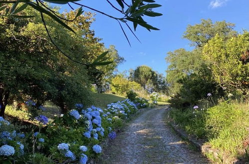 Photo 19 - Lovely 6-bed Cottage in Barcelos - Vila Cova