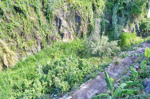 Photo 32 - Casa Calhau da Lapa a Home in Madeira