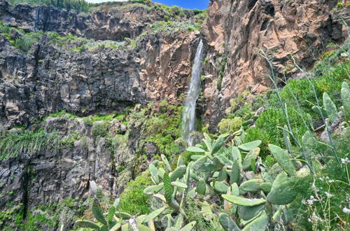 Photo 33 - Casa Calhau da Lapa a Home in Madeira