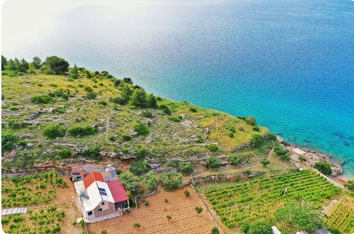 Photo 53 - Smokovlje - sea View and Vineyard - H