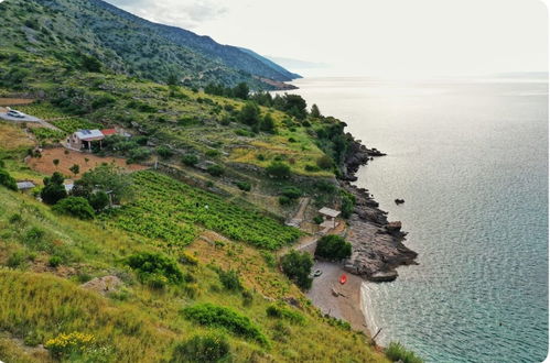 Photo 51 - Smokovlje - sea View and Vineyard - H