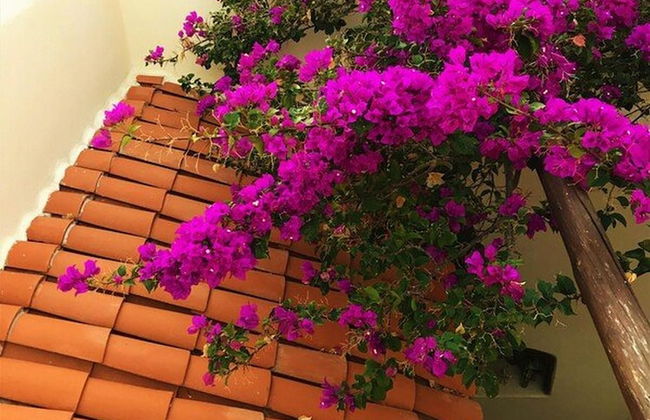 Casa Sierra by Casago - Foto 27