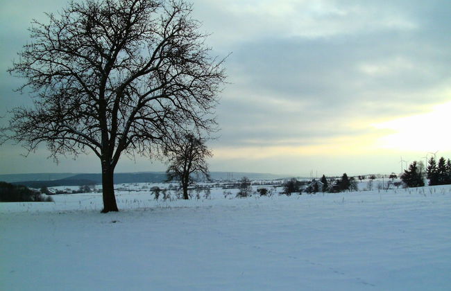 Olsdorf Forestview Apartment - Foto 31