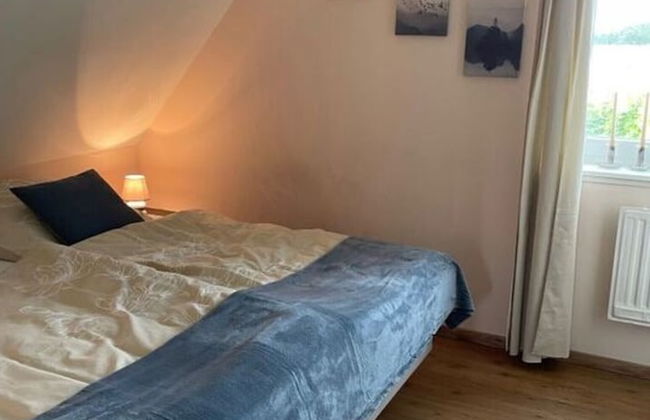 Alma Comfortable Holiday Residence - Photo 5