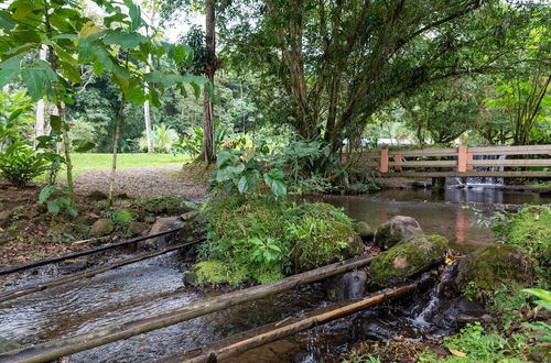 Photo 60 - Villa el Bosque La Fortuna