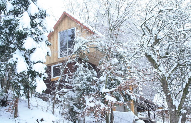 Vintage Holiday Home With Private Terrace - Foto 22