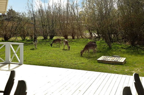 Photo 18 - Splendid Holiday Home in Blavand with Hot Tub