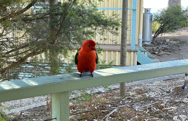 Burnt Creek Cottages Mansfield - Foto 52