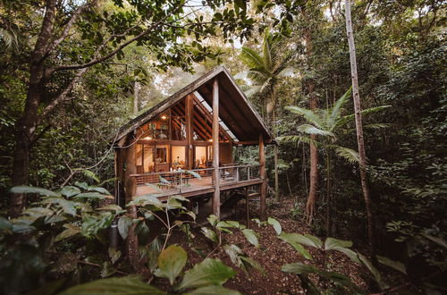 Photo 5 - The Canopy Rainforest Treehouses and Wildlife Sanctuary