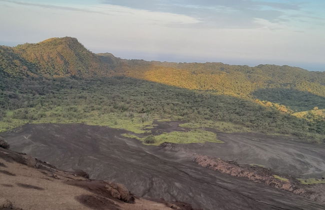 Glowing view tree house and Bangalow - Photo 7