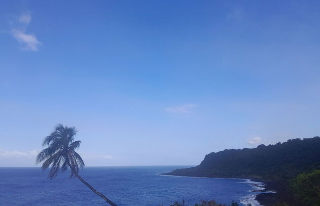 Glowing Mountain view tree house - Photo 40