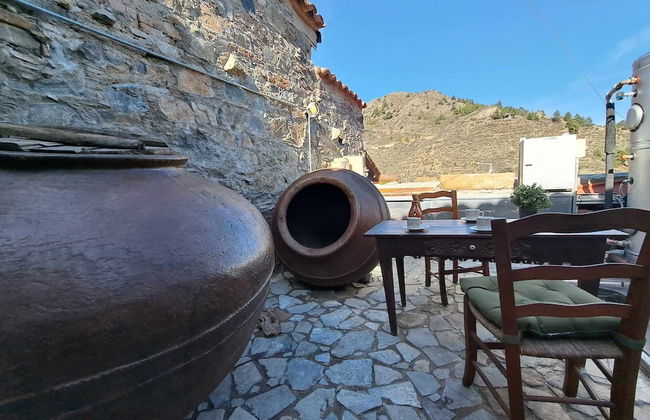 PITHARIA - Foto 53