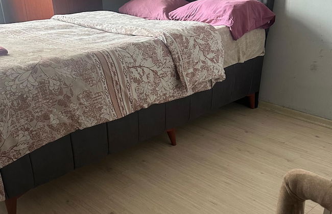 paradiseotel - Photo 5