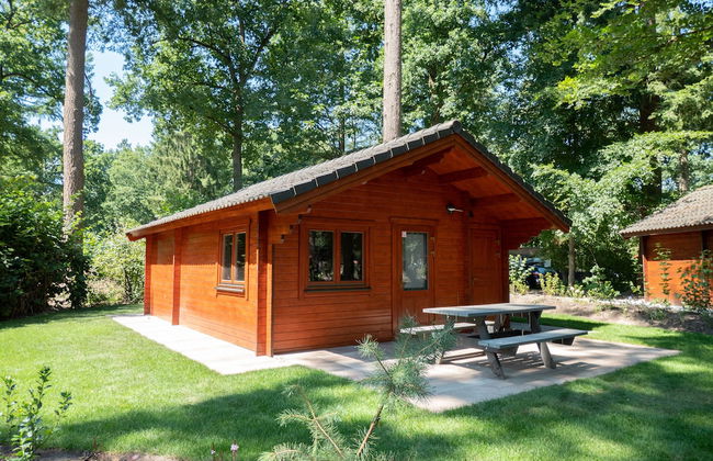 EuroParcs De Utrechtse Heuvelrug - Foto 17