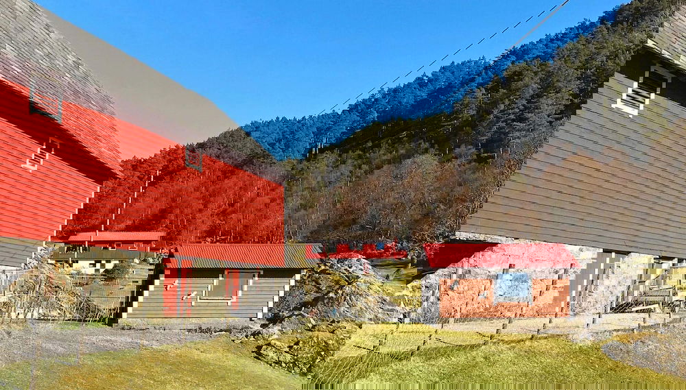 Primary image