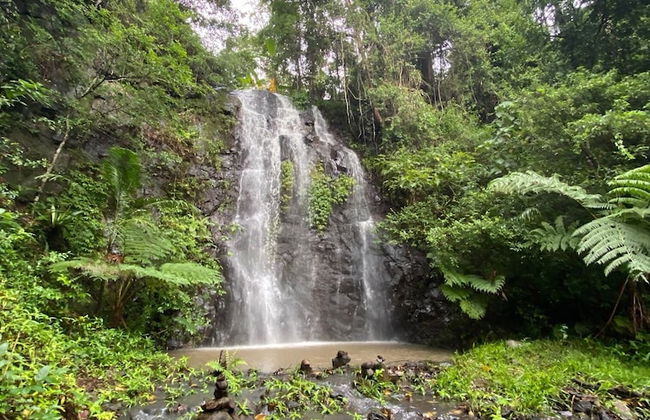 Nimbin Waterfall Retreat - Foto 1