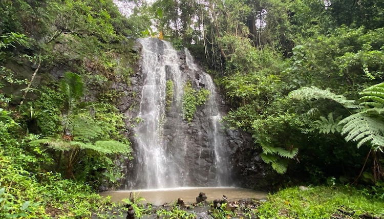 Foto 1 - Nimbin Waterfall Retreat