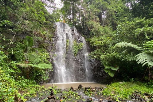 Foto 1 - Nimbin Waterfall Retreat