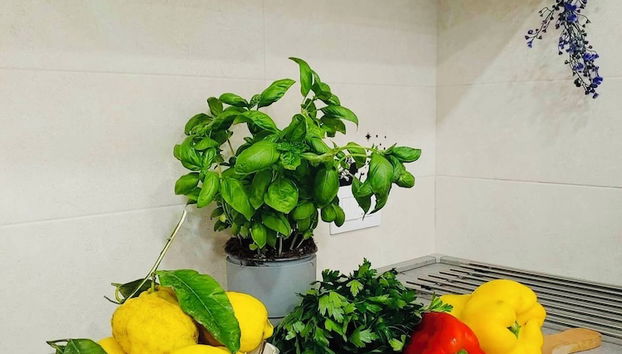Cozinha privada