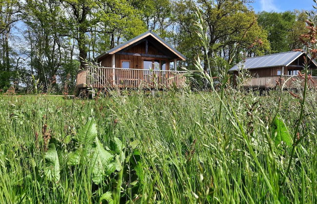 Atmospheric Lodge With Unobstructed View, Located in Beautiful Drenthe - Foto 58