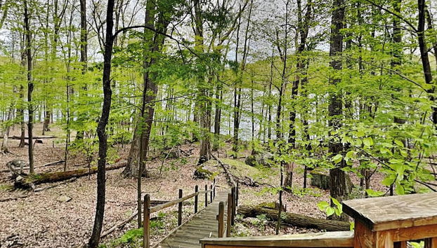 Comodidade do alojamento