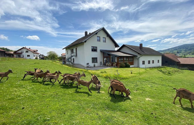 Apartment in Bavaria Near Forest - Foto 17
