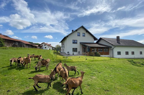 Photo 27 - Charming Holiday Flat in the Bavarian Forest