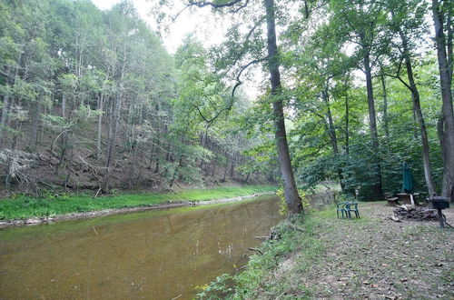 Photo 22 - Mishka at Sleepy Creek