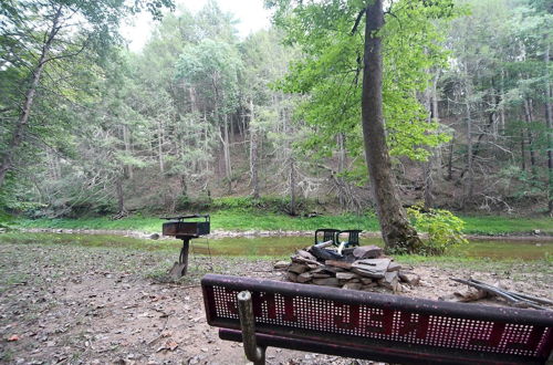 Photo 25 - Mishka at Sleepy Creek