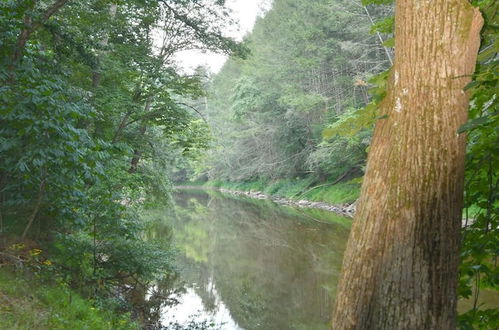 Photo 34 - Mishka at Sleepy Creek