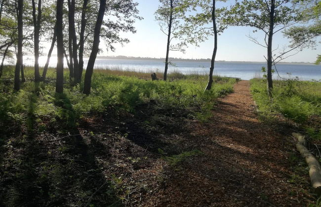 4 Person Holiday Home in Snedsted-by Traum - Foto 9