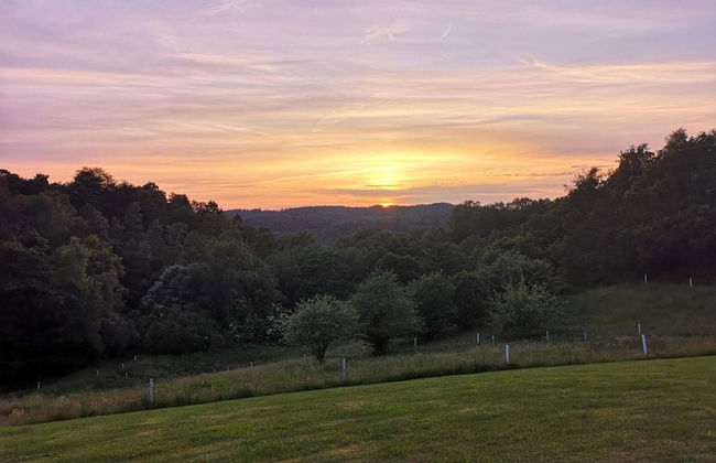 8 Person Holiday Home in Gjern-by Traum - Foto 24