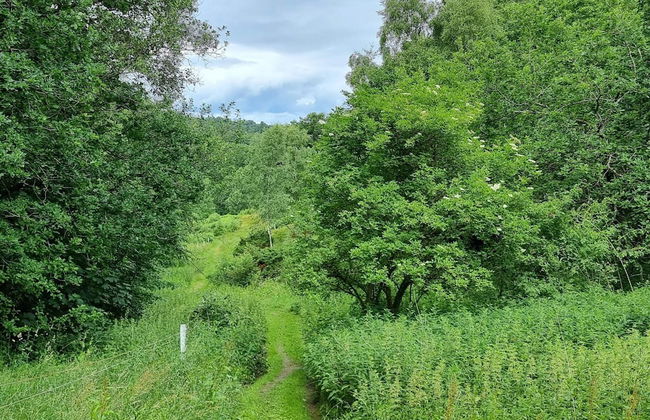 8 Person Holiday Home in Gjern-by Traum - Foto 23