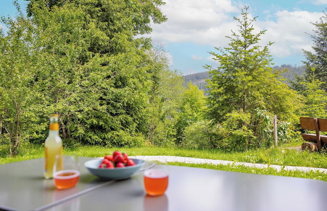 black forest apartments titisee - Foto 38
