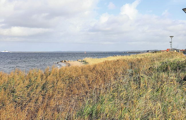 4 Person Holiday Home in Farso - Foto 75