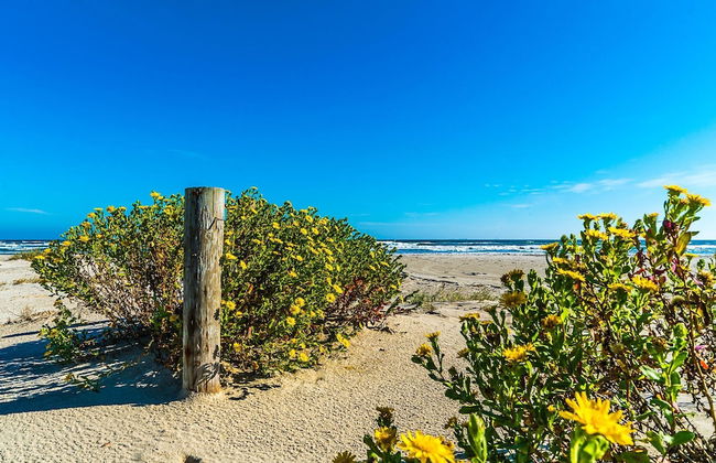 Great Location Go Beyond the Blue - Photo 62