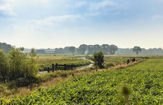 Holiday Home in Overijssel With Garden Terrace - Foto 39