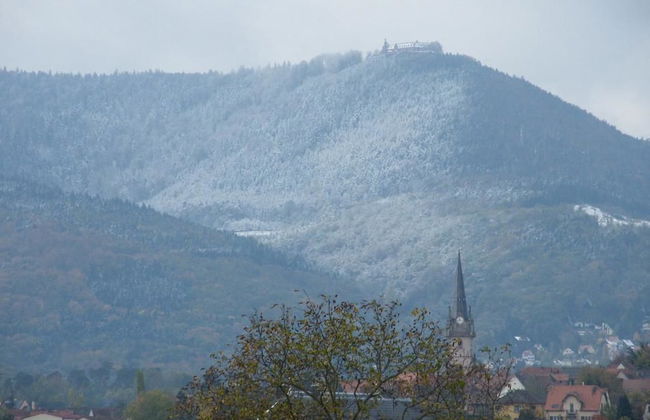 Studio 1 - Location de Vacances Obernai - Photo 26