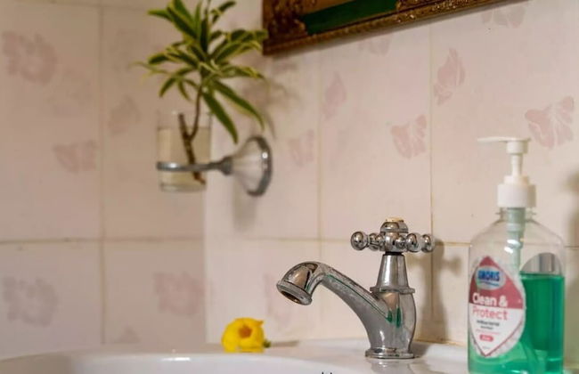 Chez Benoit Self Catering - Foto 22