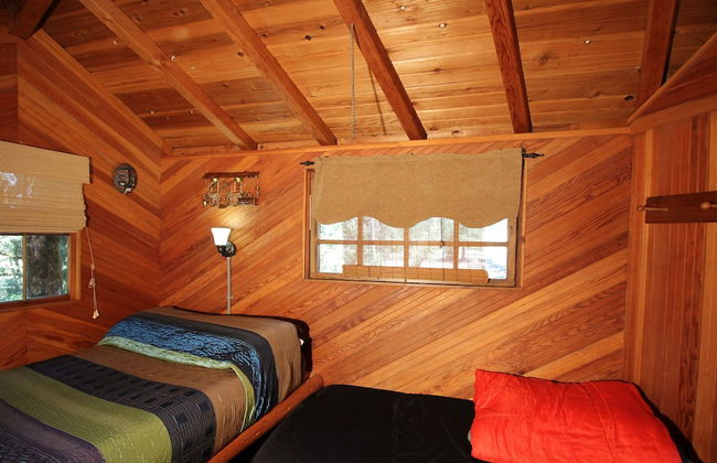 Out 'N' About Treehouse Treesort - Foto 40