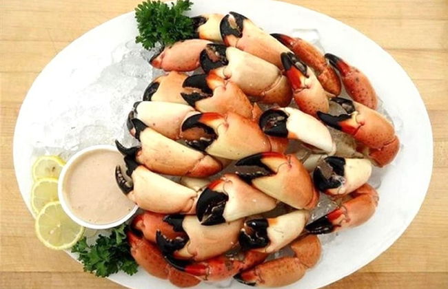 1 Beautiful 4 Bed 3 Bath Pool Home w Free Dock - Photo 36