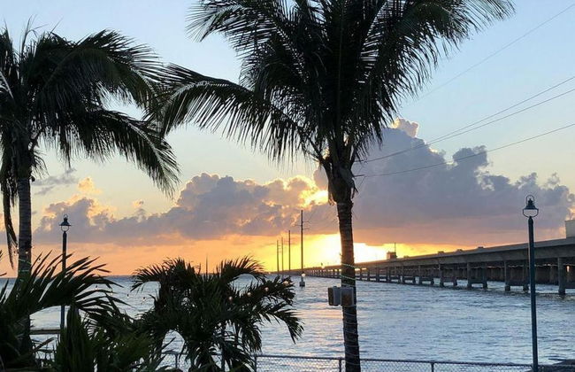 1 Beautiful 4 Bed 3 Bath Pool Home w Free Dock - Photo 34