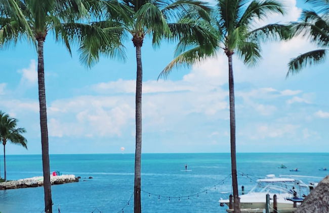 1 Beautiful 4 Bed 3 Bath Pool Home w Free Dock - Photo 1