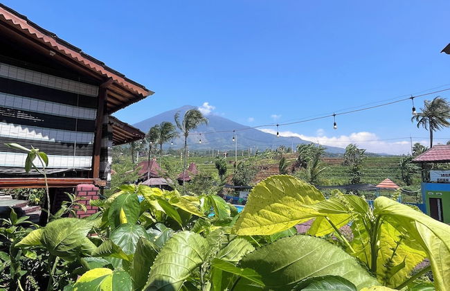 Pondok Cilega - Foto 17