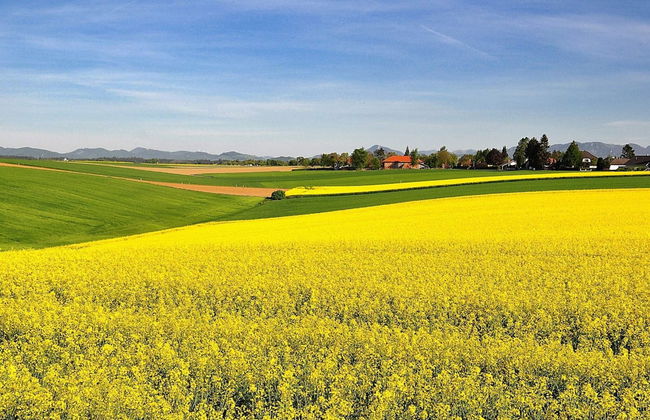 2 Person Holiday Home in Brosarp - Foto 34