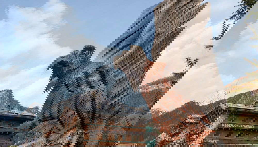 Primary image