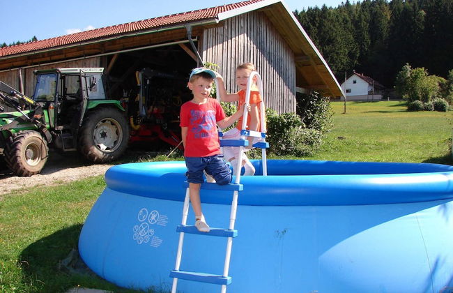 Farmhouse in Neukirchen Near Heiligen Blut - Foto 51