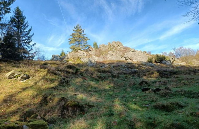 Modern Retreat in Nature - Foto 33