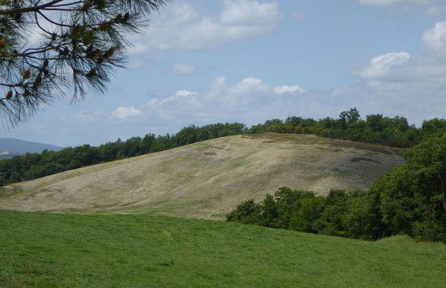 Lovely Farmhouse in Tuscany With Panoramic View - Foto 52